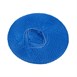 Lion Haircare haarnet blauw (50 stuks)