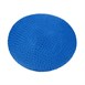 Lion Haircare haarnet blauw (50 stuks)