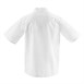 Whites Chicago unisex koksbuis korte mouw wit