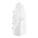 Whites Chicago unisex koksbuis korte mouw wit