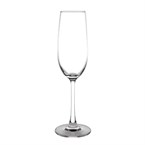 Olympia Modale champagneglazen 21,5cl (6 stuks)