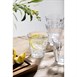 Duralex Picardie tumblers 31cl (6 stuks)