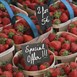 Securit reserveprikkers voor CL310 krijtbordlabels (20 stuks)