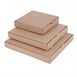Fiesta Compostable composteerbare kartonnen pizzadozen 23cm (100 stuks)