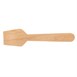 Fiesta Compostable biologisch afbreekbare houten ijslepels (100 stuks)