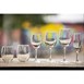 Olympia Rosario flutes 170ml (6 stuks)
