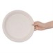 Fiesta Compostable composteerbare bagasse borden rond ongekleurd (50 stuks)