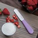 Hygiplas paletmes 10,2cm paars
