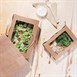 Fiesta Compostable saladebakken met PLA venster (200 stuks)