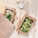 Fiesta Compostable saladebakken met PLA venster (200 stuks)