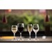 Olympia Solar champagneglazen 170ml (24 stuks)