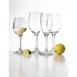 Olympia Solar champagneglazen 170ml (24 stuks)