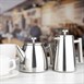 Olympia Conische Geïsoleerde Theepot Met Filter St/St - 350ml