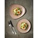 Churchill Stonecast Raw Terracotta Evolve Coupe Borden 260mm (Pak Van 12)