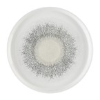 Churchill Studio Prints Fusion Grey Bord Met Opstaande Rand 25.9cm (pak van 6)
