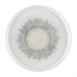 Churchill Studio Prints Fusion Grey Bord Met Opstaande Rand 25.9cm (pak van 6)