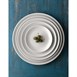 Churchill White Evolve Coupe Bord 16.5cm (pak van 12)