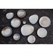 Olympia Ember Blauwe Dipschaaltjes 78mm (Pak Van 8)