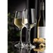 Utopia Summit Champagne Glazen 210ml (24 Stuks)