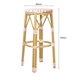 Bolero Parijse Stijl PE Rotan Barkrukken Koraal (2 Pack)