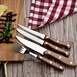 Olympia afgeronde steakmessen met PP houtlook handvatten (12 stuks)