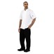 Whites Boston unisex koksbuis korte mouw wit