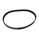 Buffalo Riem