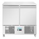 Polar U-Serie Geventileerde 2-Deurs Saladette 257L