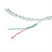 Buffalo sonde