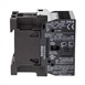 Buffalo Contactor 4 polen