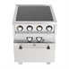 Buffalo 600 Series inductie fornuis