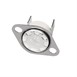 Buffalo thermostaat T1/33 125°C