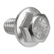Buffalo zeskantbout M5x8