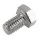 Buffalo schroef zeskant M5x8