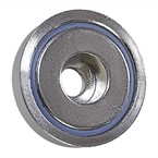 Buffalo magneet