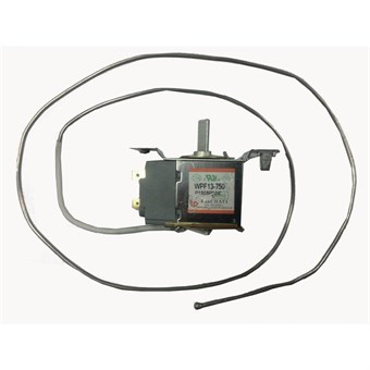 Polar Thermostaat Inclusief Lamp