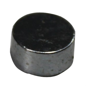 Buffalo Deur Magneet