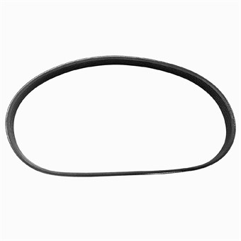 Buffalo riem