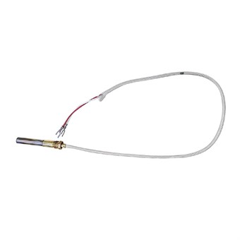 Buffalo thermokoppel